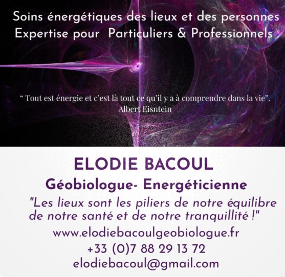 Contact Mont-Blanc professionnel : BACOUL ELODIE 
